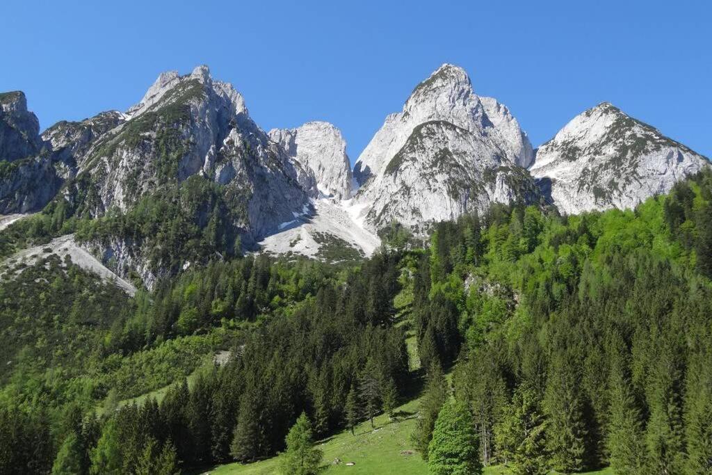 Das Almsternderl - Gemuetliche Wohnung In Gosau Luaran gambar