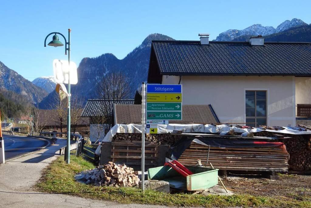 Das Almsternderl - Gemuetliche Wohnung In Gosau Luaran gambar