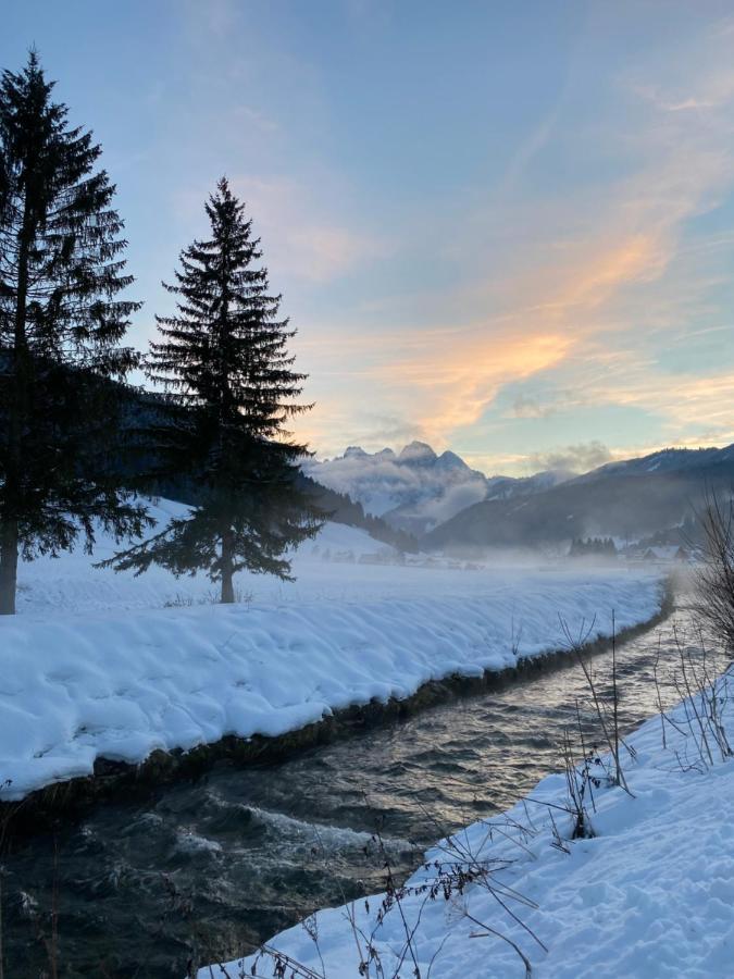 Das Almsternderl - Gemuetliche Wohnung In Gosau Luaran gambar