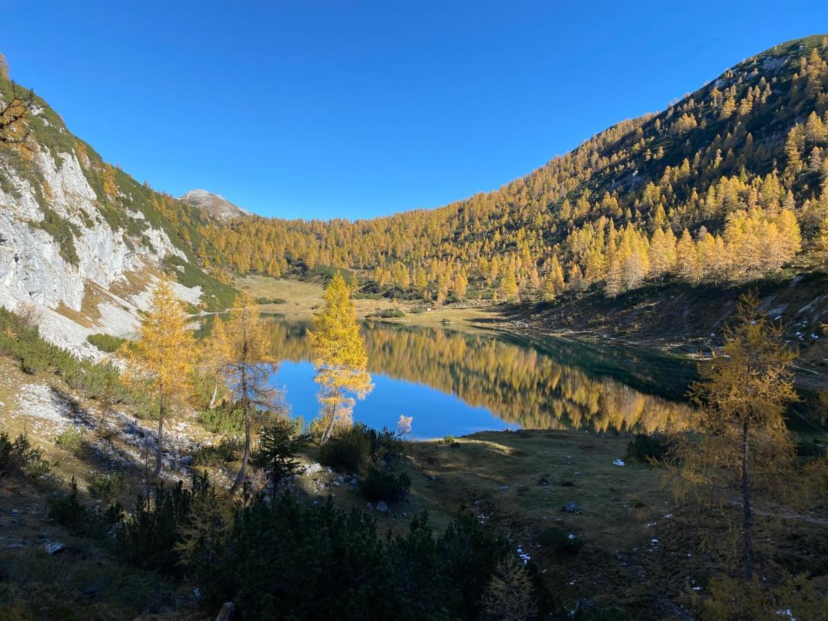 Das Almsternderl - Gemuetliche Wohnung In Gosau Luaran gambar