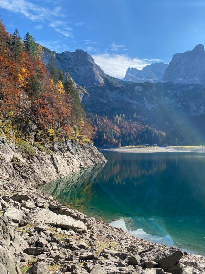 Das Almsternderl - Gemuetliche Wohnung In Gosau Luaran gambar