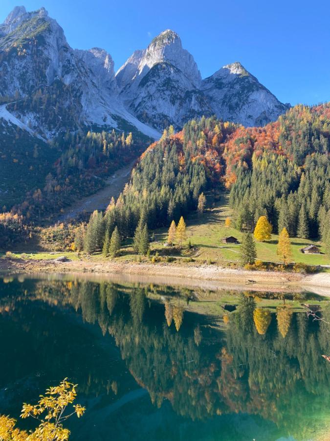 Das Almsternderl - Gemuetliche Wohnung In Gosau Luaran gambar