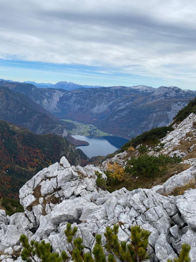 Das Almsternderl - Gemuetliche Wohnung In Gosau Luaran gambar