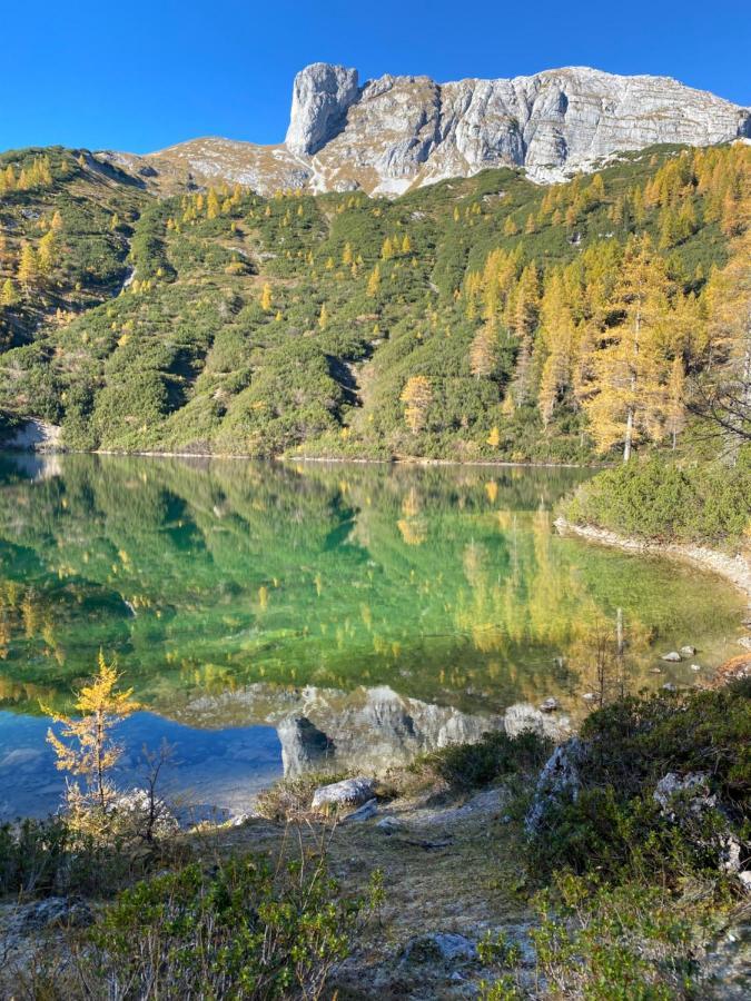 Das Almsternderl - Gemuetliche Wohnung In Gosau Luaran gambar