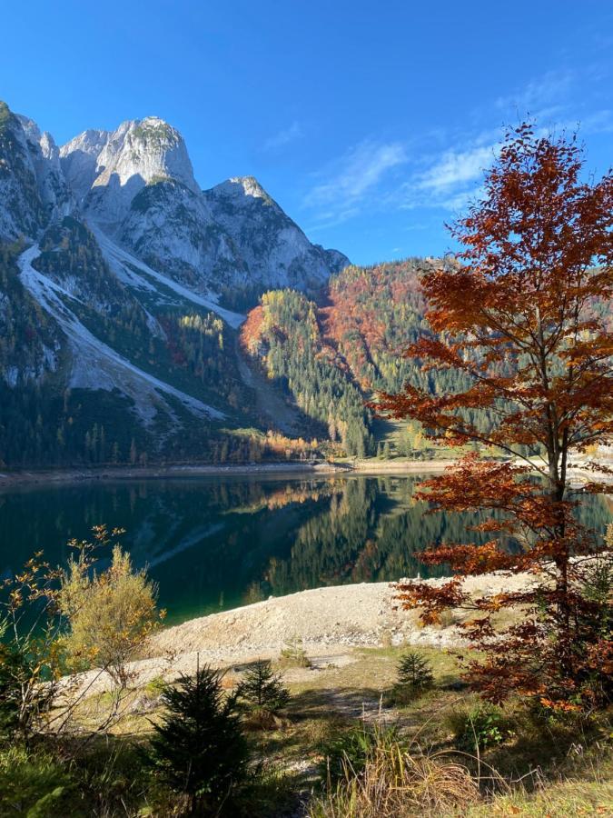 Das Almsternderl - Gemuetliche Wohnung In Gosau Luaran gambar